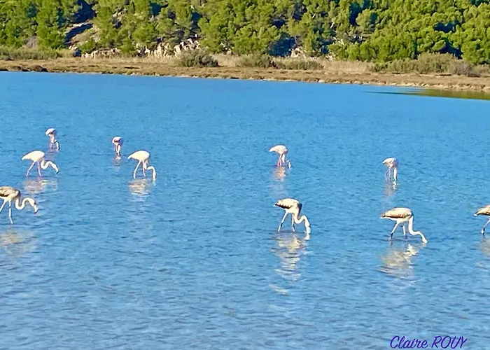 Alaric & Jacuzzi Ilot 1 Rang1! Vue Mer! 4rooms! Clim 10p 24h24